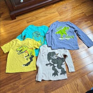 Bundle of size 5T Dinosaur Shirts